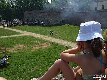 S&aacute;rv&aacute;ri t&ouml;rt&eacute;nelmi fesztiv&aacute;l 2010
