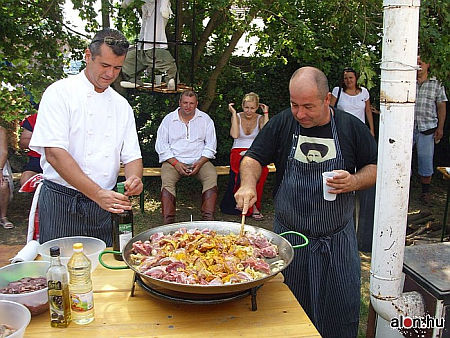 S&aacute;rv&aacute;ri t&ouml;rt&eacute;nelmi fesztiv&aacute;l 2010