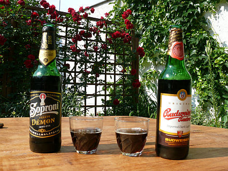 S&ouml;rp&aacute;rbaj, Budweiser Dark Soproni D&eacute;mon