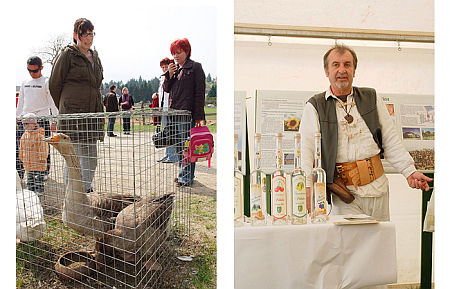 Szent Gy&ouml;rgy napi v&aacute;s&aacute;r Szombathely 2010
