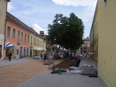 Sznet M&aacute;rton utca Szombathely