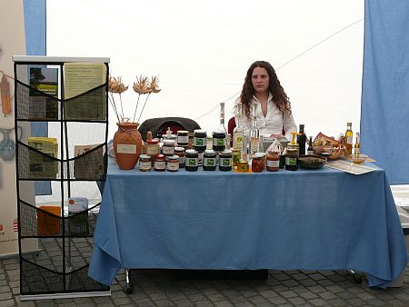 Szociális Hét Szombathelyen