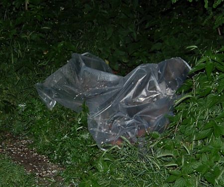 Zs&aacute;kos gyilkoss&aacute;g