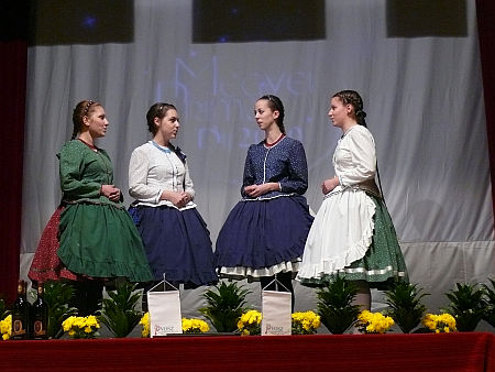 Prima díj, 2010 Vas megye