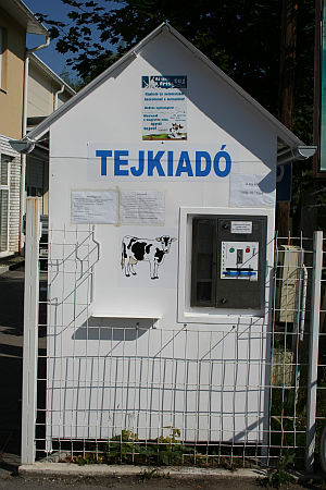 Tejautomata, Szombathely