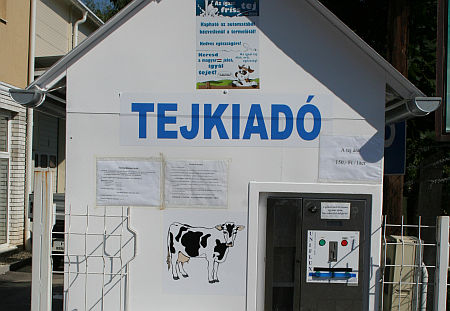 Tejkiad&oacute; automata