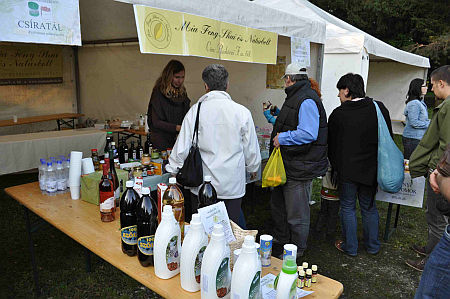 T&ouml;kfesztiv&aacute;l, 2010