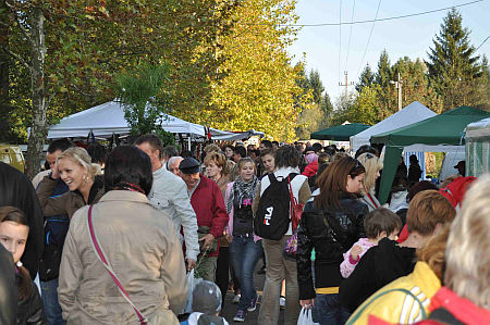 T&ouml;kfesztiv&aacute;l, 2010