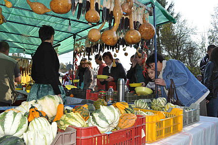 T&ouml;kfesztiv&aacute;l, 2010