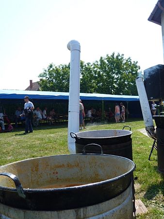 Falunap, Tokorcs 2010