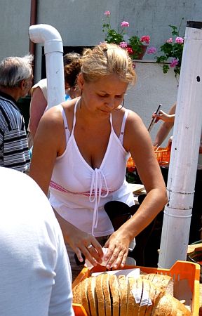 Falunap, Tokorcs 2010