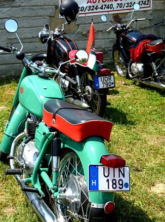 Falunap, Tokorcs 2010
