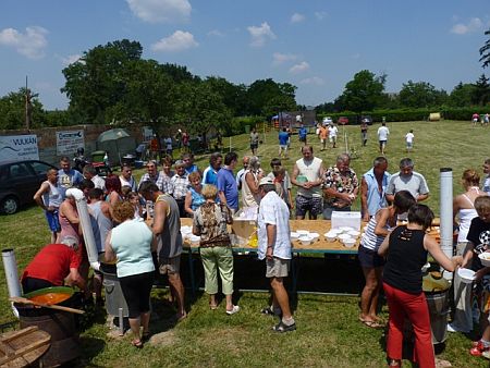 Falunap, Tokorcs 2010