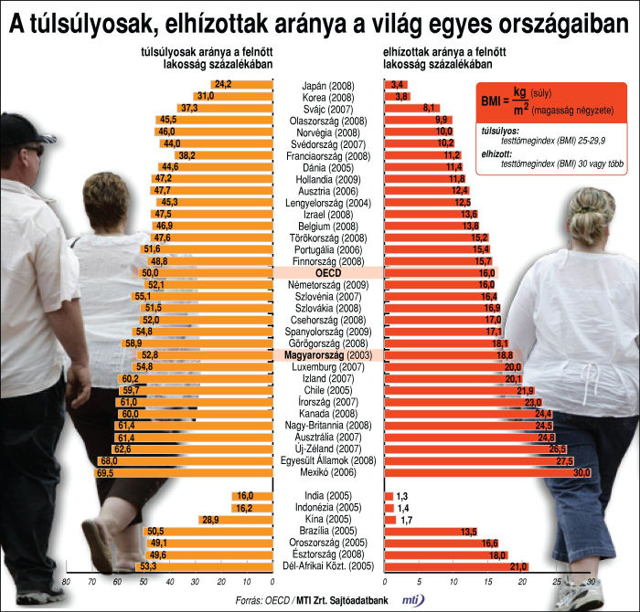 Túlsúlyosak, elhízottak aránya