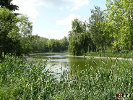 Vasvár, horgásztó