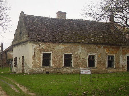 Szegedy R&oacute;za k&uacute;ria