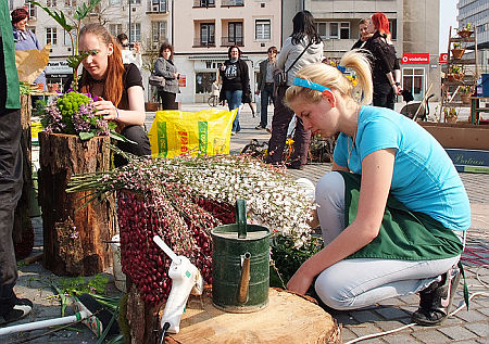 Vir&aacute;gk&ouml;tők versenyek, Szombathely