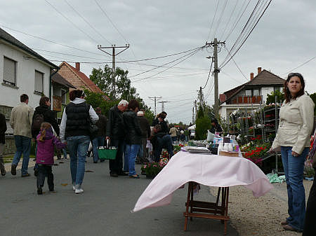 Her&eacute;nyi vir&aacute;g&uacute;t 2011
