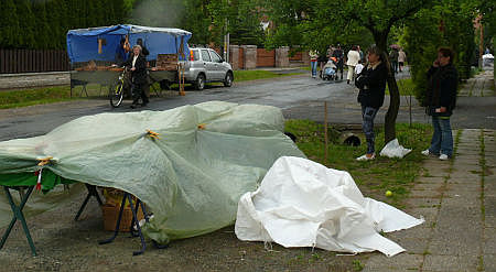 Her&eacute;nyi vir&aacute;g&uacute;t 2011