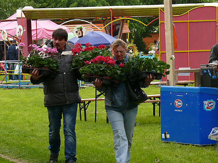 Her&eacute;nyi vir&aacute;g&uacute;t 2011