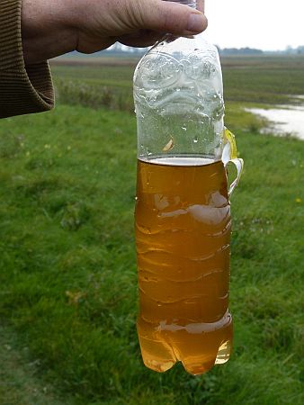V&ouml;r&ouml;siszap, Celld&ouml;m&ouml;lk
