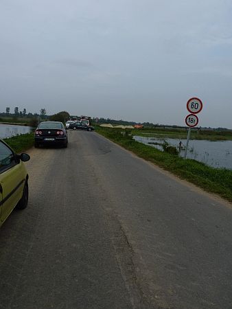 V&ouml;r&ouml;siszap, Szerg&eacute;ny