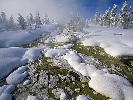 Yellowstone