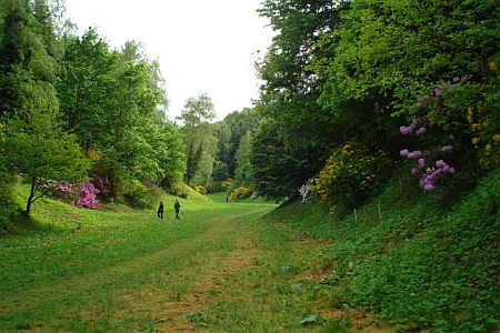Azáleás völgy, Zalaegerszeg