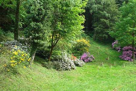 Azele&aacute;s v&ouml;lgy, Zalaegerszeg