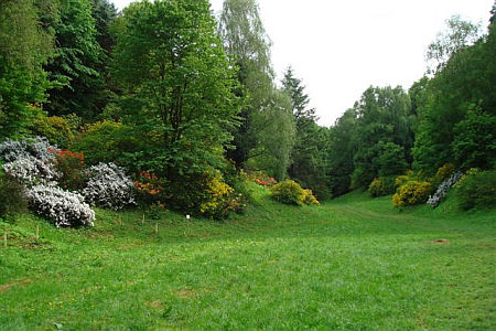 Azele&aacute;s v&ouml;lgy, Zalaegerszeg