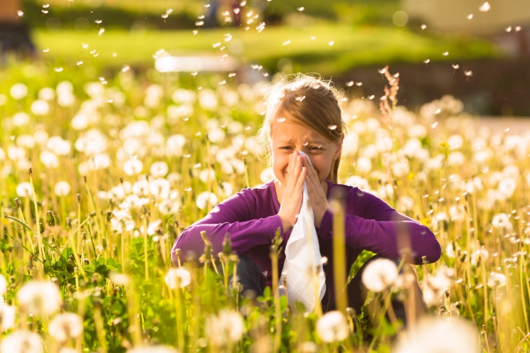 Már sok pollen van a levegőben Már sok pollen van a levegőben