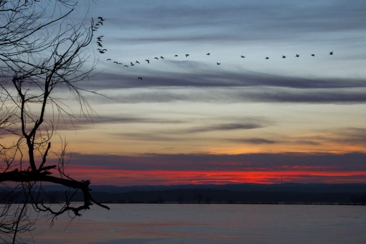 Naplemente a Kis-Balatonnál Naplemente a Kis-Balatonnál