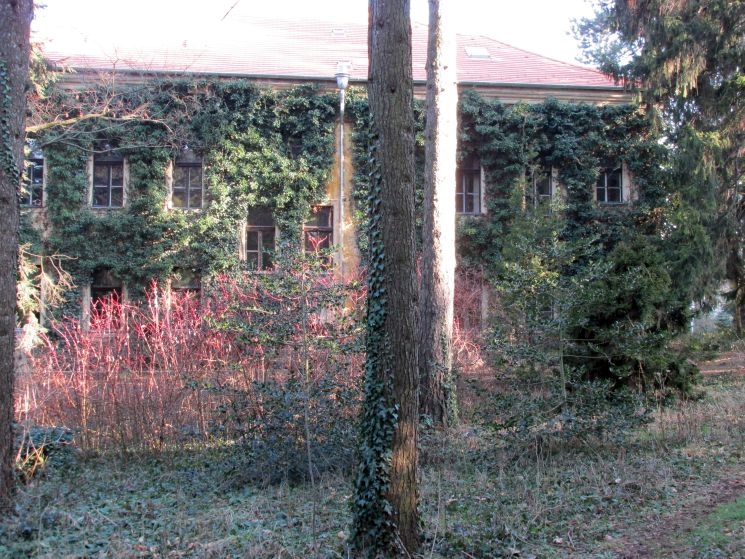 A soproni botanikus kert