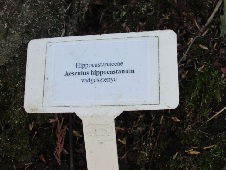 A soproni botanikus kert