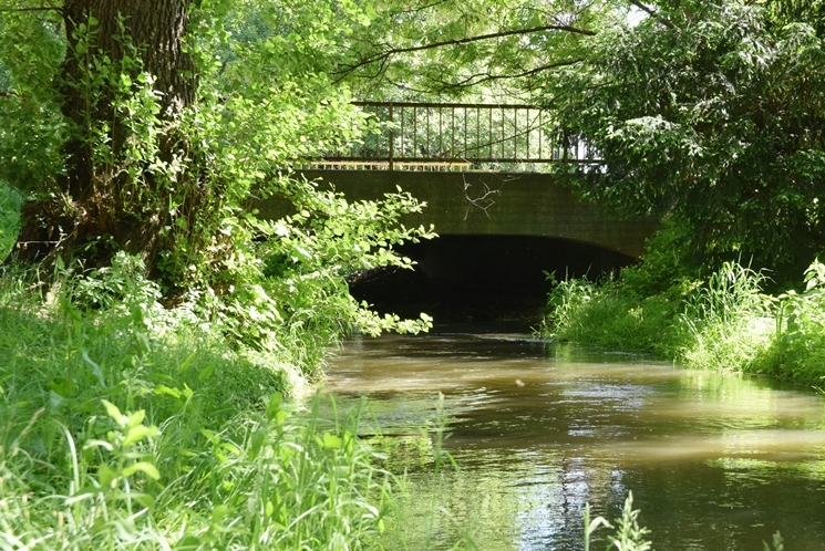 Szombathelyi park mustra