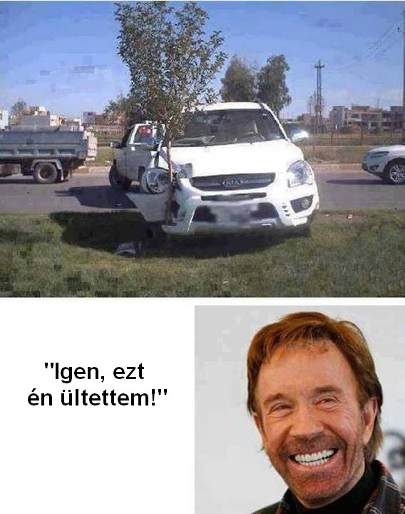 Chuck Norris fája Chuck Norris fája