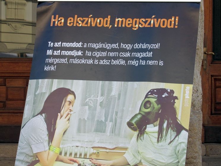 „A virág sem bírja el!” „A virág sem bírja el!”