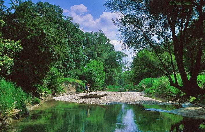Donau-Auen Nemzeti Park, Ausztria Donau-Auen Nemzeti Park, Ausztria
