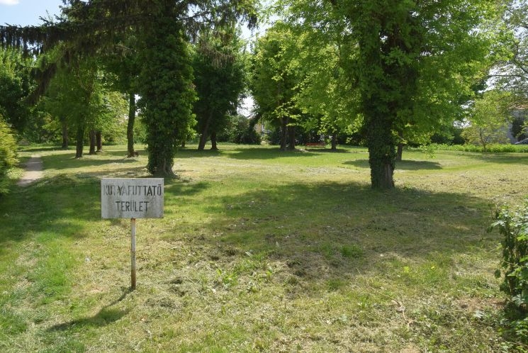 Kutyafuttatók Szombathelyen