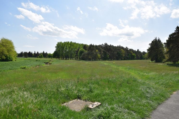 Kutyafuttatók Szombathelyen