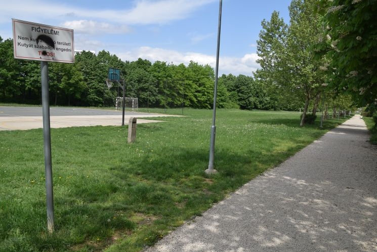 Kutyafuttatók Szombathelyen