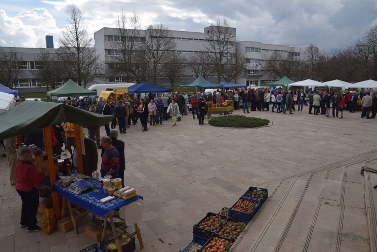 Egyéves a termelői piac Szombathelyen