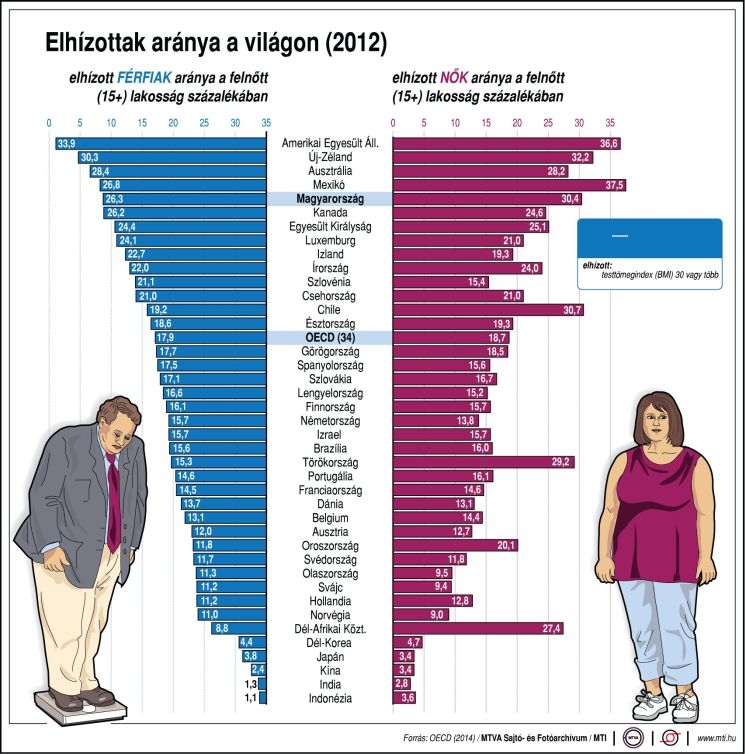 Elhízottak aránya a különböző országokban Elhízottak aránya a különböző országokban