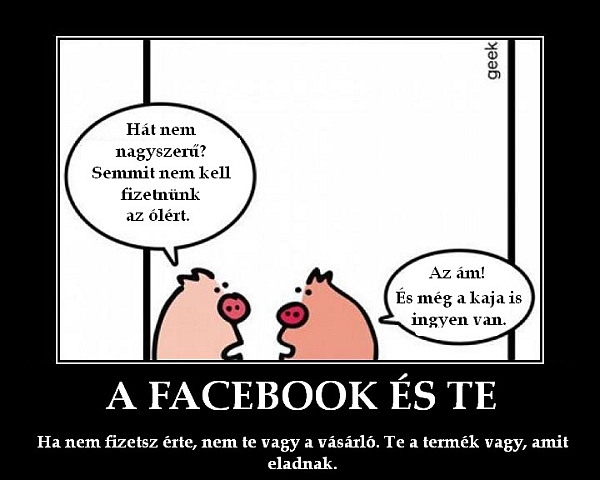 A Facebook és te A Facebook és te