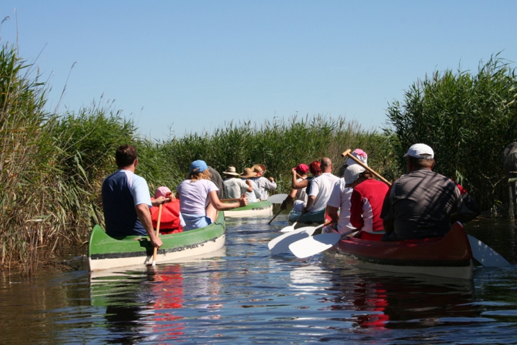 Fertő-Hanság Nemzeti Park: vízitúra a Fertő-tavon Fertő-Hanság Nemzeti Park: vízitúra a Fertő-tavon