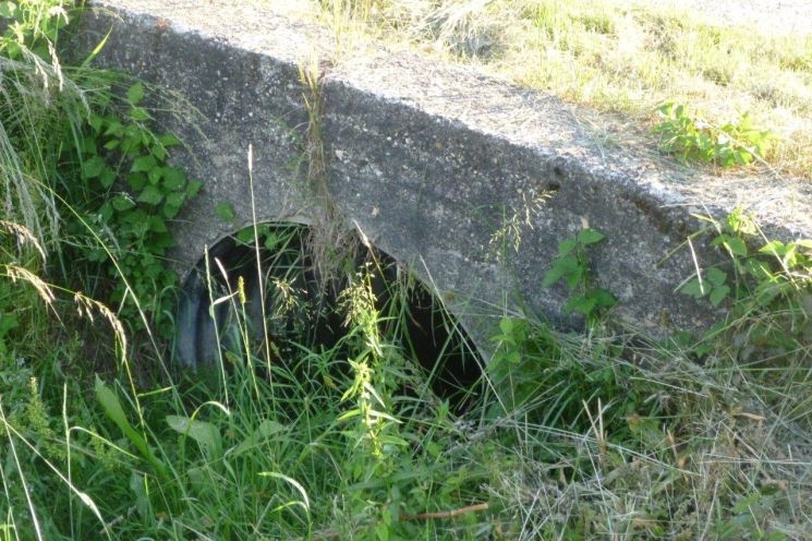 A Szabadnép utca végén fogyott el a damil