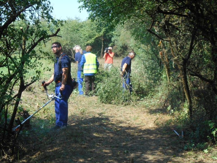 Közfoglalkoztatottak tisztítják az osztrák és a szlovén határt Közfoglalkoztatottak tisztítják az osztrák és a szlovén határt