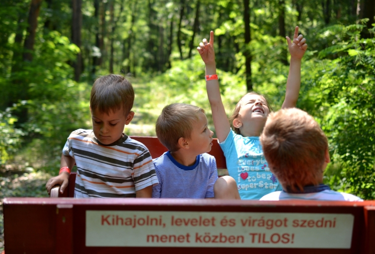 Táborozz a Holdfény Ligetben! Táborozz a Holdfény Ligetben!