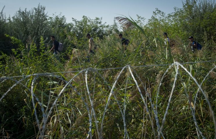 Spanyolországban gyártották a magyar-szerb határon kiépített drótkerítést