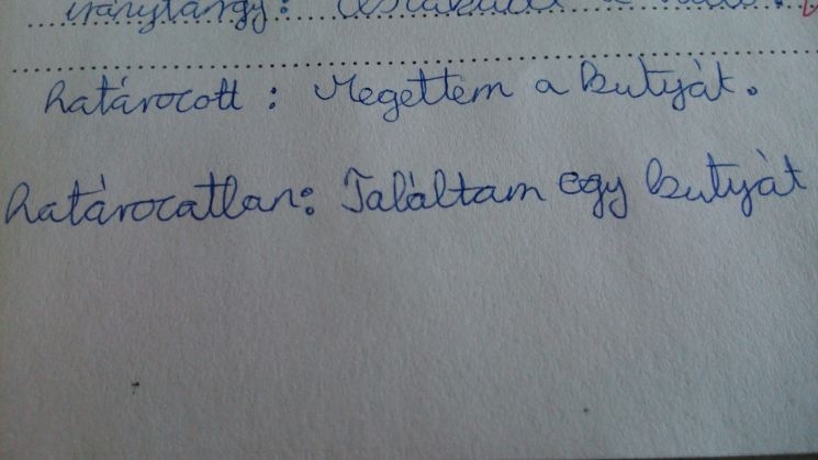 Majdnem sikerült a nyelvtan dolgozat Majdnem sikerült a nyelvtan dolgozat